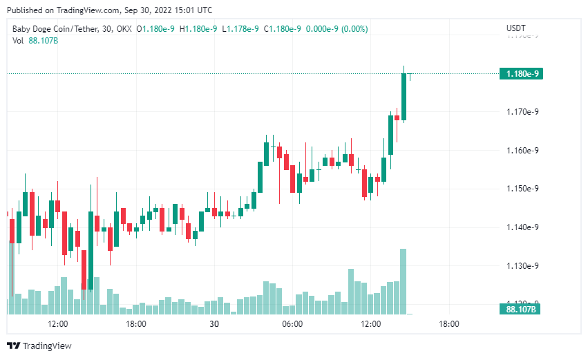DogefanBaby's tweet photo. #BabyDoge Pump now !!! 😍🚀 https://t.co/z3M90b3AVf