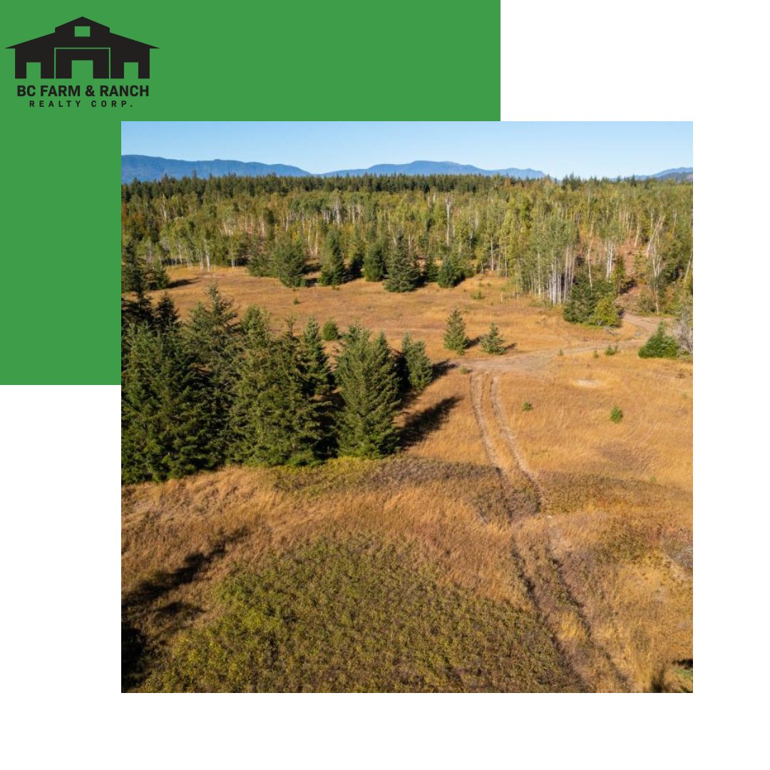 NEW LISTING!
2475 Hilltop Road, Sorrento
$1,199,000 | MLS# 10262725

bcfarmandranch.com/properties/247…