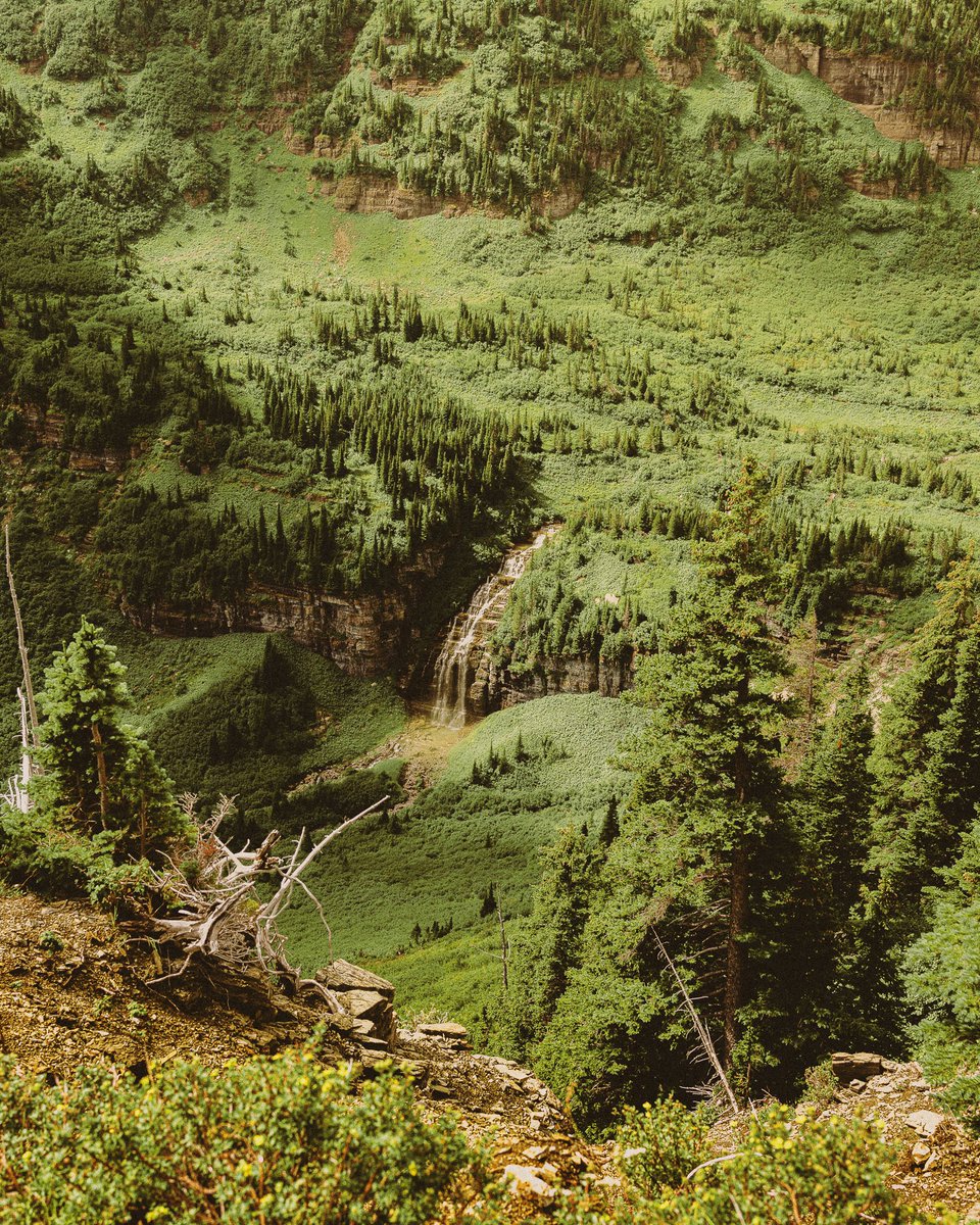 inthemeadow's tweet photo. montana green https://t.co/5VDvtRG3i5