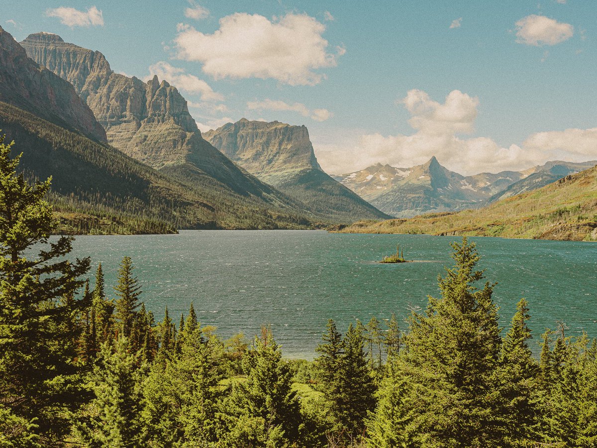 inthemeadow's tweet photo. montana green https://t.co/5VDvtRG3i5