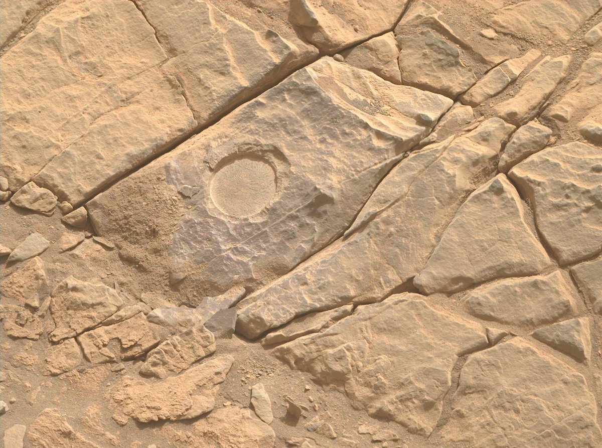 You can’t make a science omelet without breaking a few…rocks? (Okay, so maybe metaphors aren’t my strong suit.) Seems my abrasion tool was a bit much for this one rock, but I’ve tried another one nearby with better luck. Soon, more #SamplingMars! Blog: go.nasa.gov/3RqkOOZ