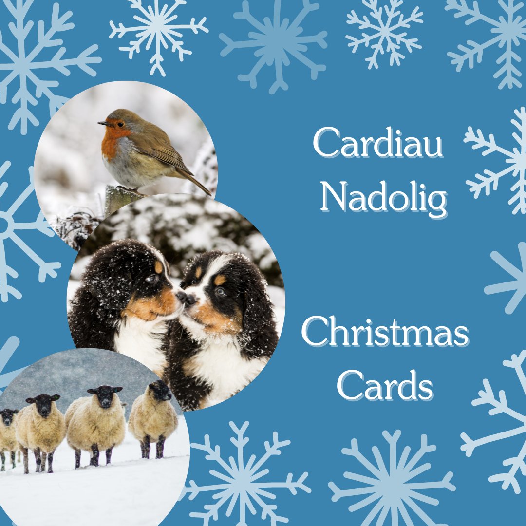 Bilingual christmas story