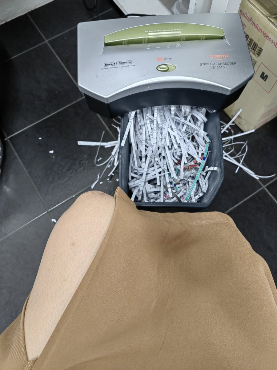 yellowbello™💛 tweet media