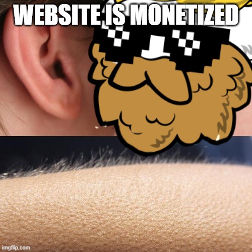 shib_superstore's tweet photo. Sept 29!

We are entering the last day of the month, let's make it count!

Our #1levelchallenge has the potential to burn billions of SHIB every day. 

https://t.co/T6htY9C0cs

Visit https://t.co/d0goxro3q0 for all ways to burn, not just through me, but from the entire community https://t.co/bXmV0Y90HN