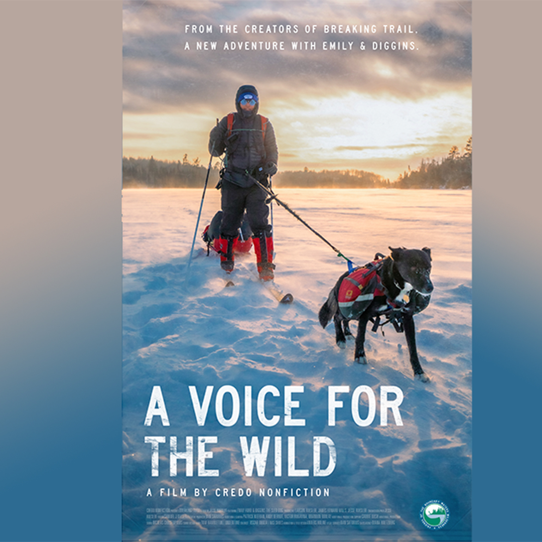 FriendsBWCAW's tweet photo. Emily Ford's winter trek across the Boundary Waters is now a film! A VOICE FOR THE WILD will premiere at @BanffMtnFest next month.

We've been proud to support this film, and congratulate Emily and filmmaker @CredoNonfiction for being selected for the festival! We're so thrilled! https://t.co/jA6zEI1qD9