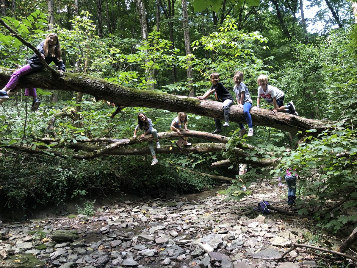 meridian_micro's tweet photo. We call our recess "nature hour" with good reason.
#schoolbeyondstandards #21stcenturylearning #naturehour https://t.co/rQKGTE1zEH