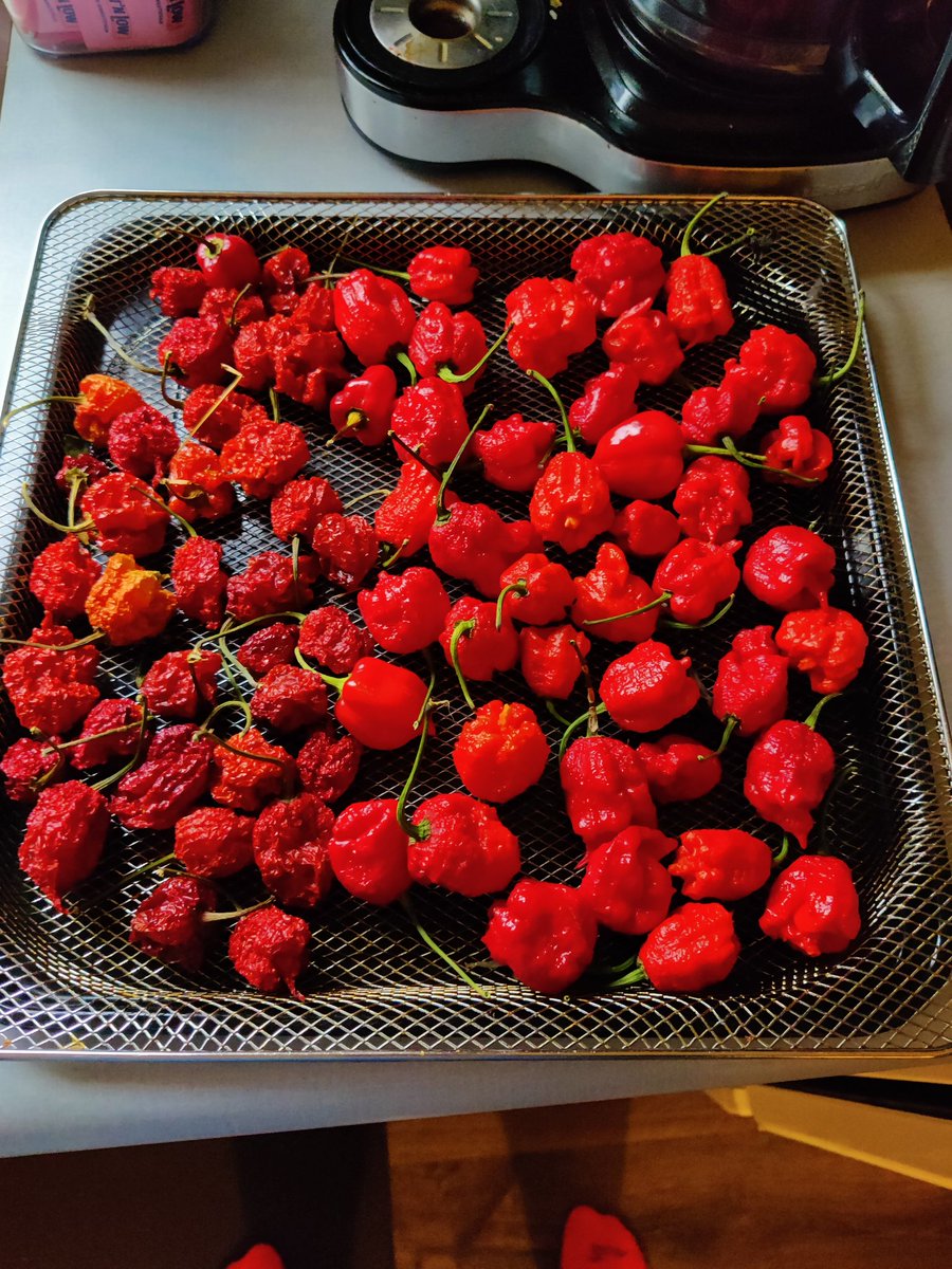 Ooo time to dehydrate some more!