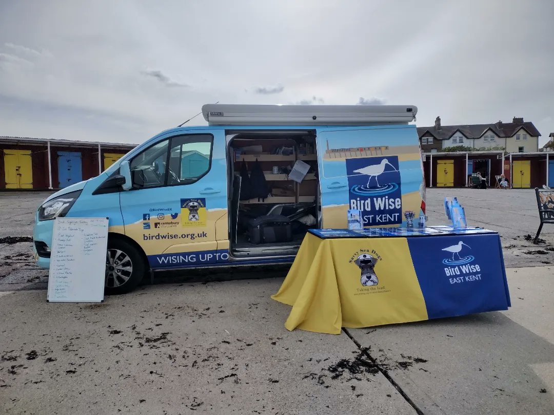 BirdWiseEK's tweet photo. Met some lovely people at St Mildred's Bay today with many sightings of some of the #DaringDozen arriving back for their winter break in the UK. Remember give these birds space for them to Rest, Roost and Recuperate as they will be very tired from their long journeys. #birdwise https://t.co/uIJPr5SKuk