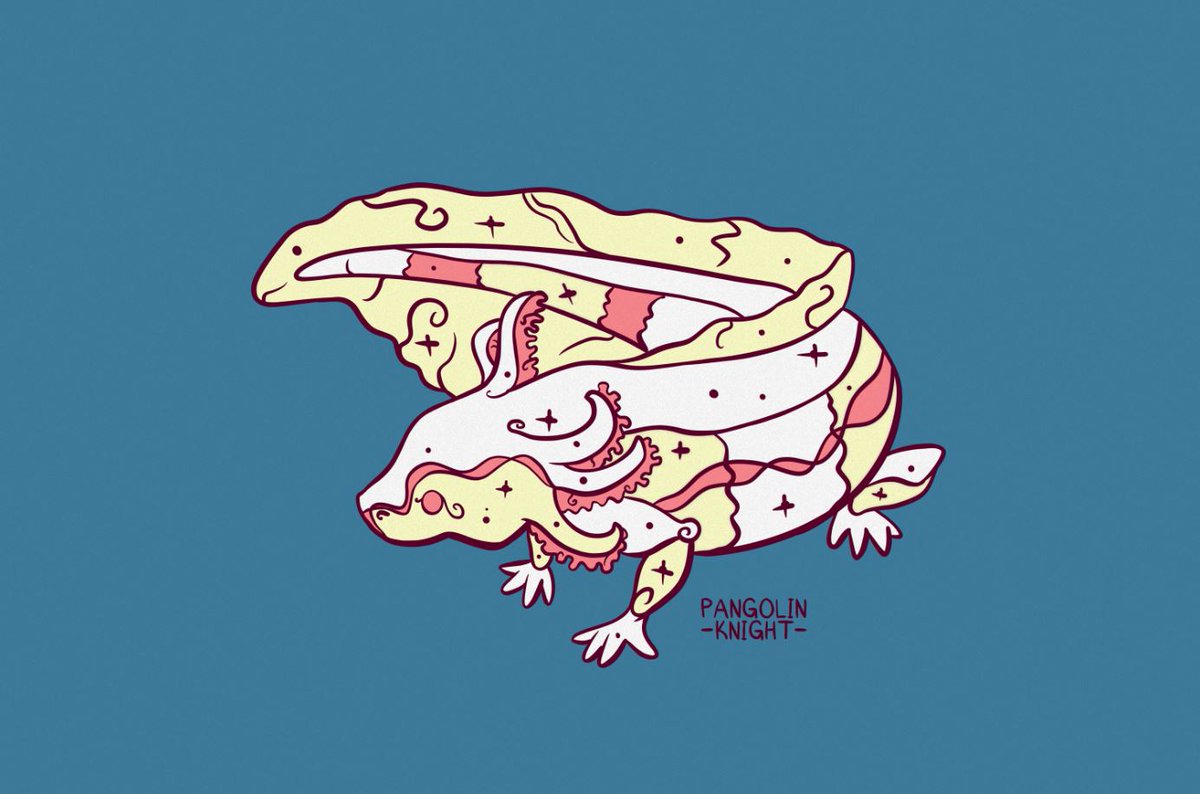 Pangolin_Knight's tweet photo. #axolotl https://t.co/TSFoCjWwBn