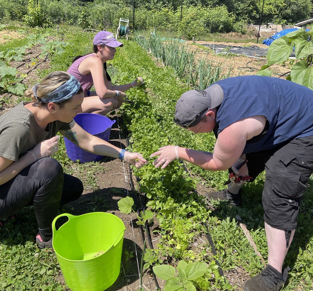 graphicspromag's tweet image. Inkcups Launches Social Responsibility Committee: The newly launched team recently volunteered at the Massachusetts Giving Garden. @InkcupsNow #directtosubstrate #dogood
🔗 graphics-pro.com/news/inkcups-s…