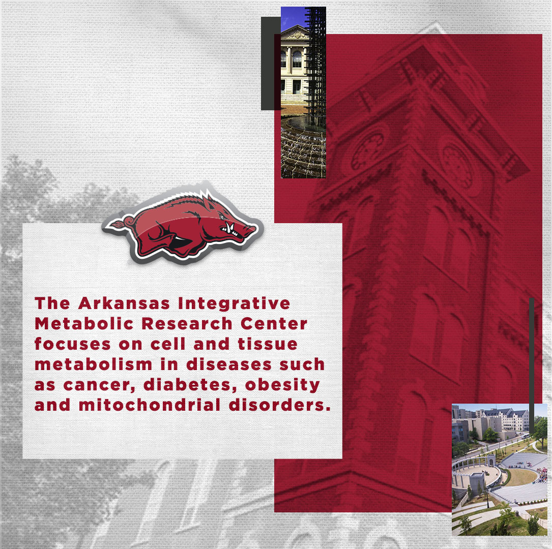 SECAcademics's tweet photo. .@UofAlabama and @UArkansas are leading the way in research to improve the health of our communities.

#ItJustMeansMore https://t.co/nwiR6bwEoS