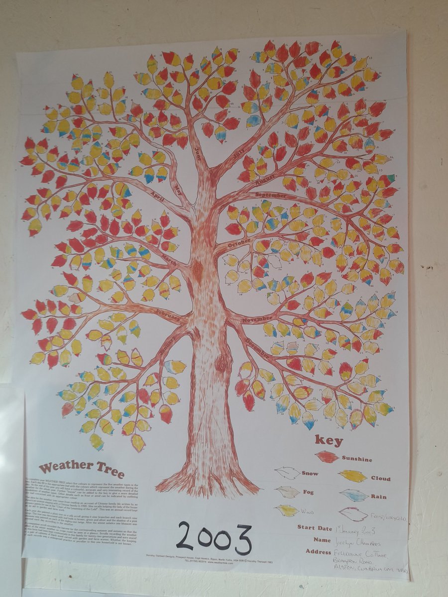pat_godwin's tweet photo. Do pleased, most displays will be left up for Great Big Green Week  in Alston  17 weather trees over 20 years https://t.co/DNrmiiOA1p https://t.co/M7iaT8f8xS