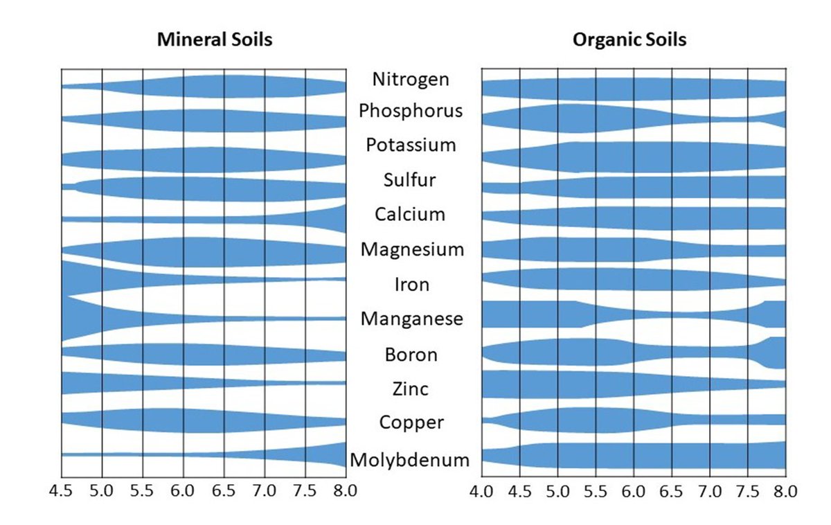 CSSS_Soils's tweet photo. Soil pH matters because #nutrients can be held or released by soil particles depending on soil pH. You can test and amend your #soil so your #garden has maximum potential. Learn more in this newly-released #GroundedInSoils blog: https://t.co/iF5m10V33a https://t.co/lViKEhBFWp