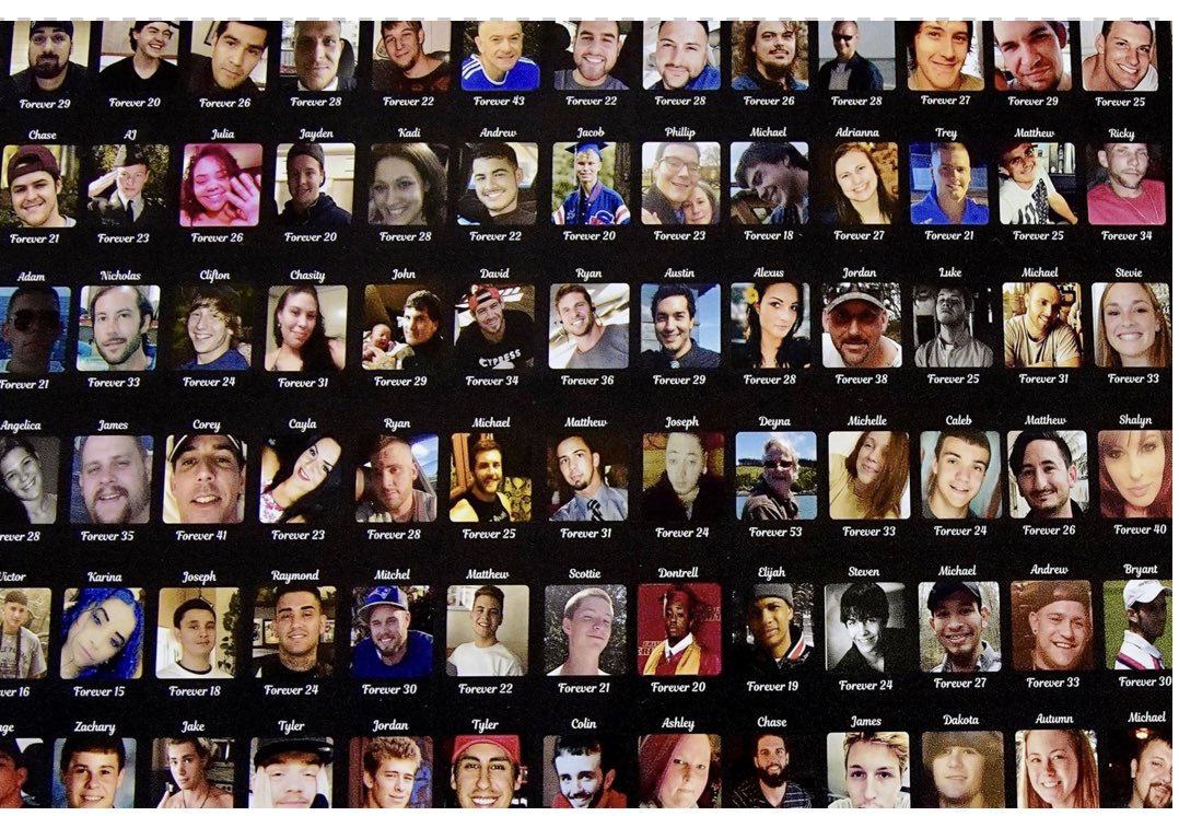 Myrna 𝕏 tweet media