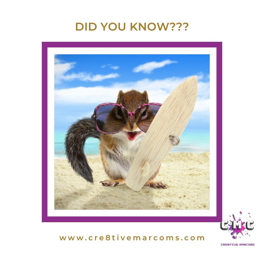 Cre8tiveMarComs's tweet photo. #FunFact Douglas Engelbart and Bill English began the dev of the #computermouse in 60s. Engelbart filed a #patent for the mouse, which was issued in 1970.
SRI licensed the #tech to other companies, but it didn’t reach #commercial production until 1984. https://t.co/3F4xB36pCq