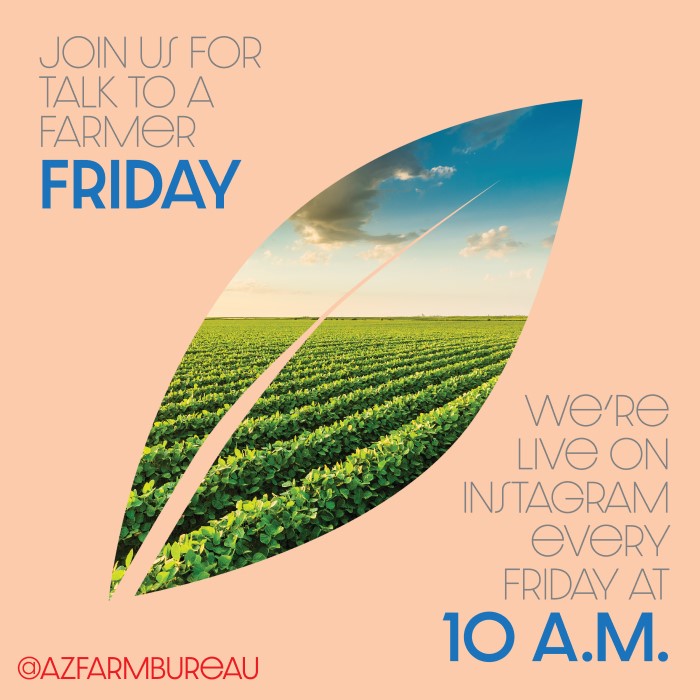 azfb's tweet photo. #TGIF! It's #TalkToAFarmer Friday again, this time with @Schnepf_Farms ! This #FamilyFarm just launched this season's #2022FallFestival events, and we'll hear all about it this morning on our #Instagram account at 10 am! #Fall #FallFestivals #VisitAFarm https://t.co/sSssxBw9og