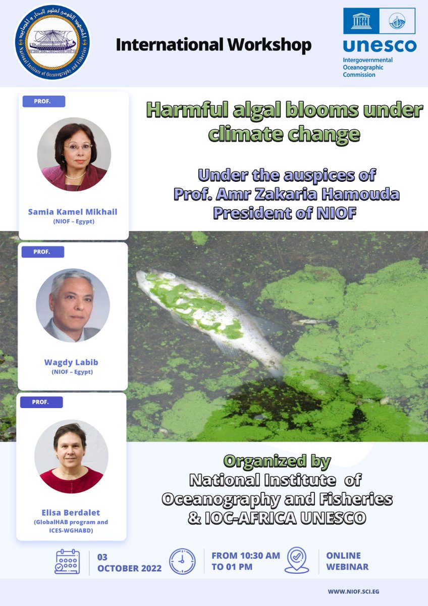 suzan_gharabawy's tweet photo. In the preparation for the 27th Conference of Parties on Climate Change in Sharm El Sheikh COP27 #NIOF  in cooperation with IOC-AFRICA UNESCO and organizing hybrid international workshop entitled "Harmful Algal Blooms under Climate Change" 
https://t.co/HzAdq0ZNMC https://t.co/NWelBXDR0o