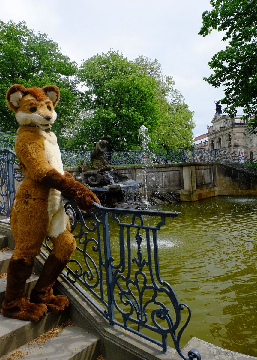 Happy #FursuitFriday from Dresden. I really like this old barrock style, the garden and the terrasse.

#Fursuit, #KonuFox, #Konu, #Dresden