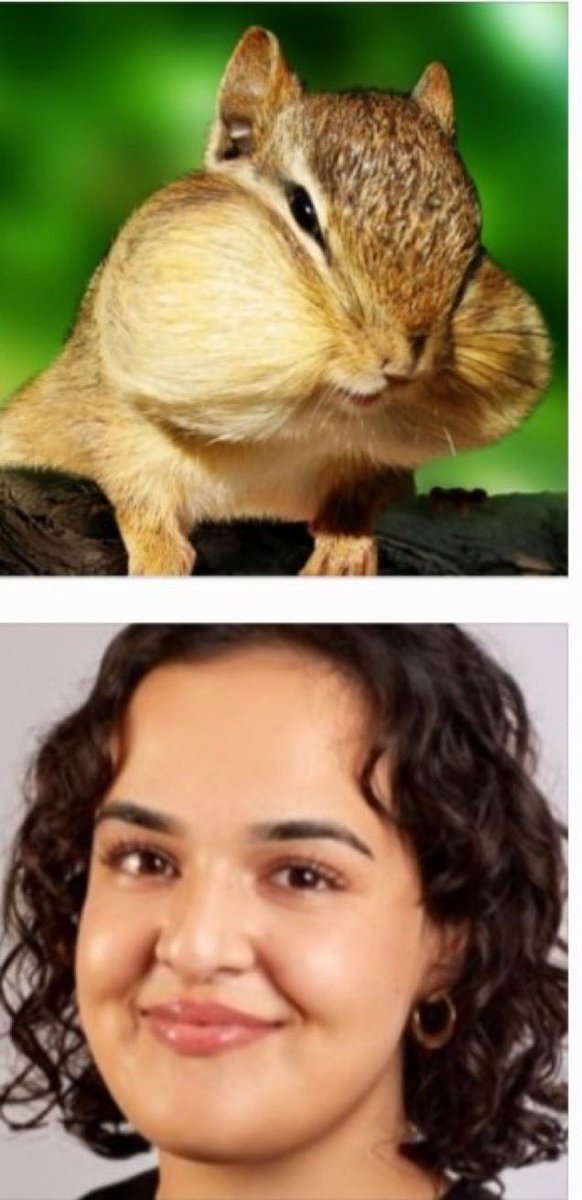 Derek Coates tweet media