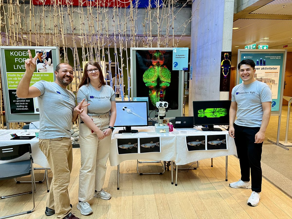 Representing <a href="/KISNeuro/">Kavli Neuroscience</a> and #zebrafish #brain research at the Researchers Night of @NTNUnorway with my favorite two young doctors in training <a href="/AyumeHirano7/">Ayume</a> &amp; <a href="/iam_AhmedJ/">Ahmed Jamali</a> !!!