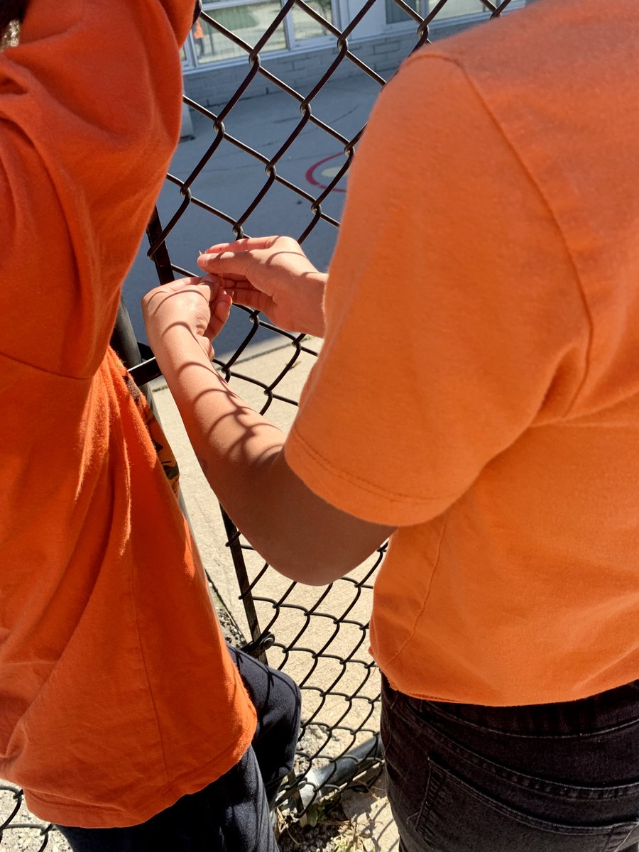 St. James Maple tweet media