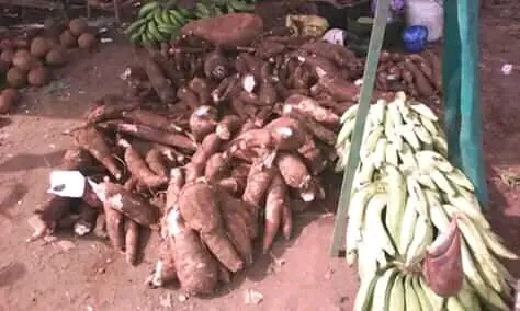 NtalaShow's tweet photo. How close is Cameroon to achieve food-self sufficiency?... Find out... https://t.co/Oy697CevQH
 
@bimi_Consulting 
@muyangcorner 
@WFP 

#sdg2
#FoodSecurity https://t.co/4mr1LUSxq0