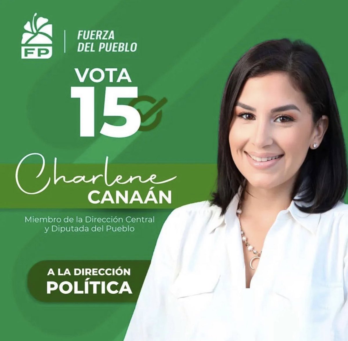 Juventud y mujer. 
En la lozanía del votante está su representante. ⁦<a href="/Charlenecanaan/">Charlene Canaan</a>⁩ , el rostro de un partido joven, que como su color verde es la mejor expresión de la primavera de nuestra democracia.