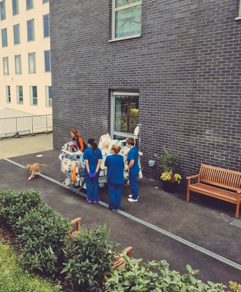 ICU at Tunbridge Wells Hospital tweet media