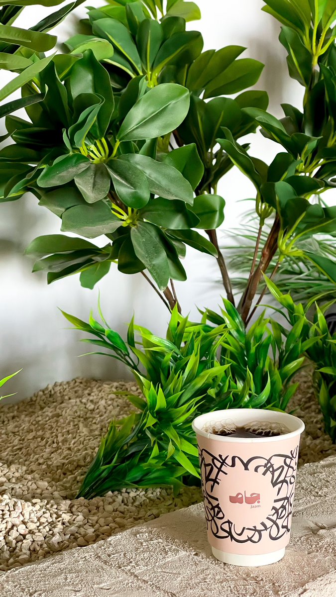 Najla ☕️ tweet media