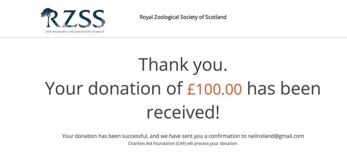 Enr011's tweet photo. The girls from P7A @SciennesPS raised £100 for @SaveOurWildcats and the donation has been sent. Great effort all round. Thanks to everyone who supported them! #SWAforLIFE @rzss https://t.co/aMbTaLR37w