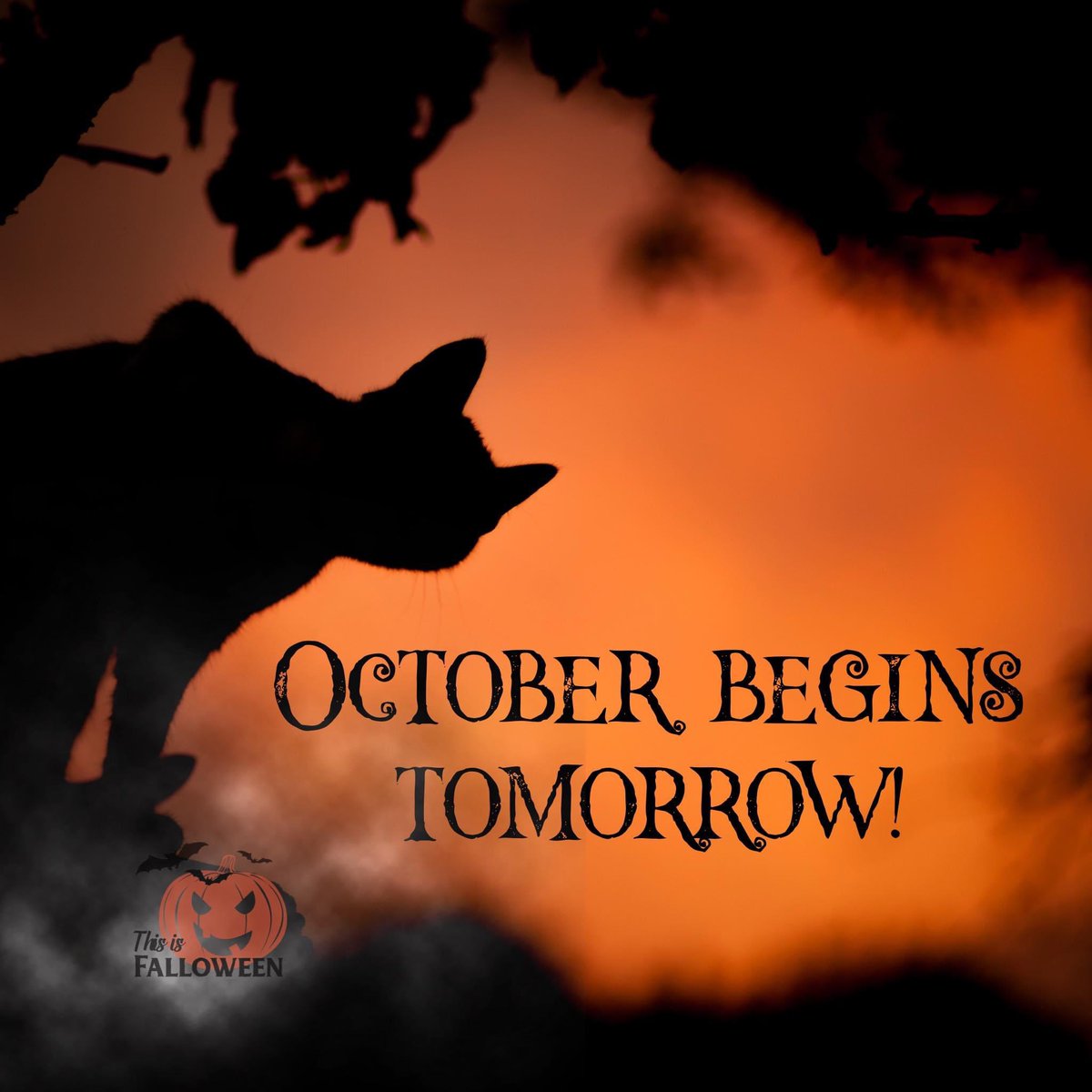 GhostColorado's tweet photo. It is upon us! 🎃 #thebesttimeoftheyear  #halloween #Halloween2022 #spookyseason #spookyvibes #October #bestmonthoftheyear #ghost #ghostofloveland https://t.co/4ZuAvUEKie