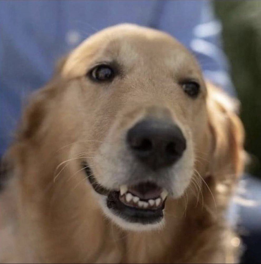 Dean Koontz tweet media