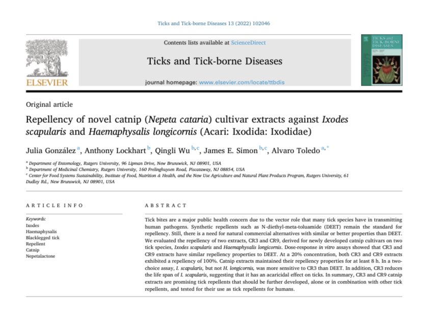 ToledoLabRU's tweet photo. Congratulations to lab members Julia González &amp; Dr. Toledo for their publication “Repellency of novel catnip (Nepeta cataria) cultivar extracts against Ixodes scapularis and Haemaphysalis longicornis (Acari: Ixodida: Ixodidae)” being published in Ticks and Tick-borne Diseases! 🎊 https://t.co/5No3Pvr9sH