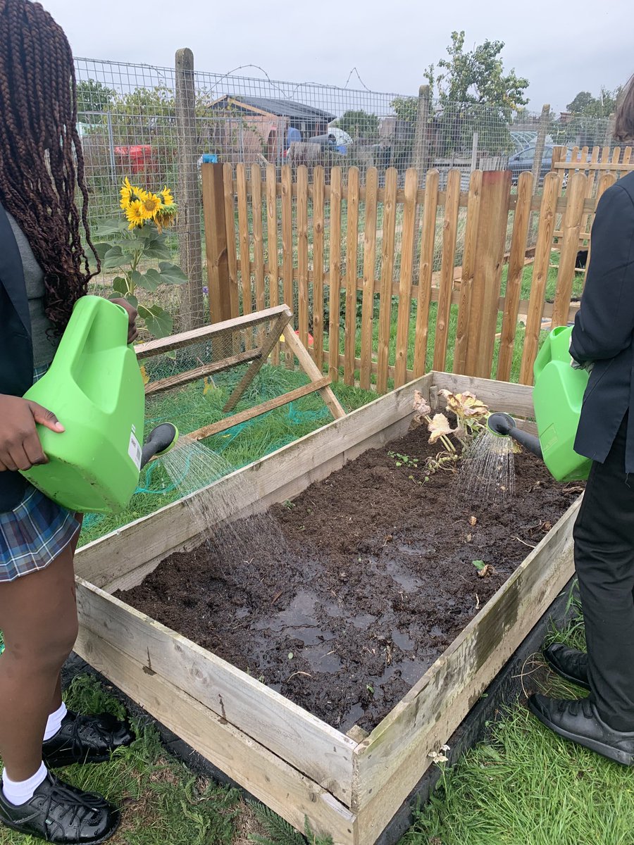 digforvictoryba's tweet photo. A busy morning here at BA, yr8 students clearing the area for some seasonal sowing & growing. They are now picking the last of their harvest. What an amazing crop we’ve had 🍅🌶🧄🧅Well done yr8! 👏🏽@ActiveYouthUK @Bedford_Academy @heartacadtrust https://t.co/biBurDtpku