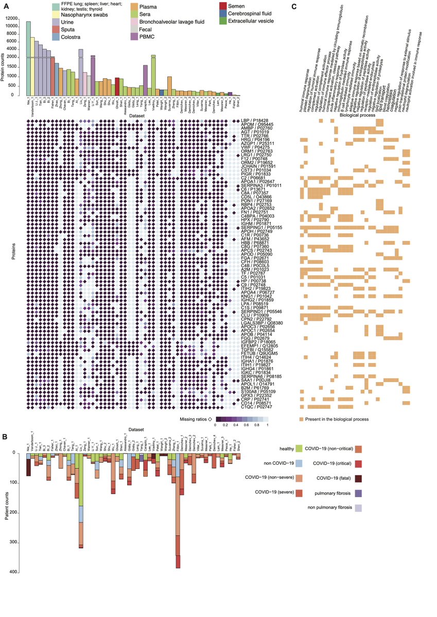 COVIDpro: Database for mining protein dysregulation in patients with COVID-19. Data for 3077 patients from 32 hospitals covering 14403 proteins. Done with <a href="/guomics/">Guomics</a> colleagues. biorxiv.org/content/10.110… #coronavirus #COVID19 #preprint