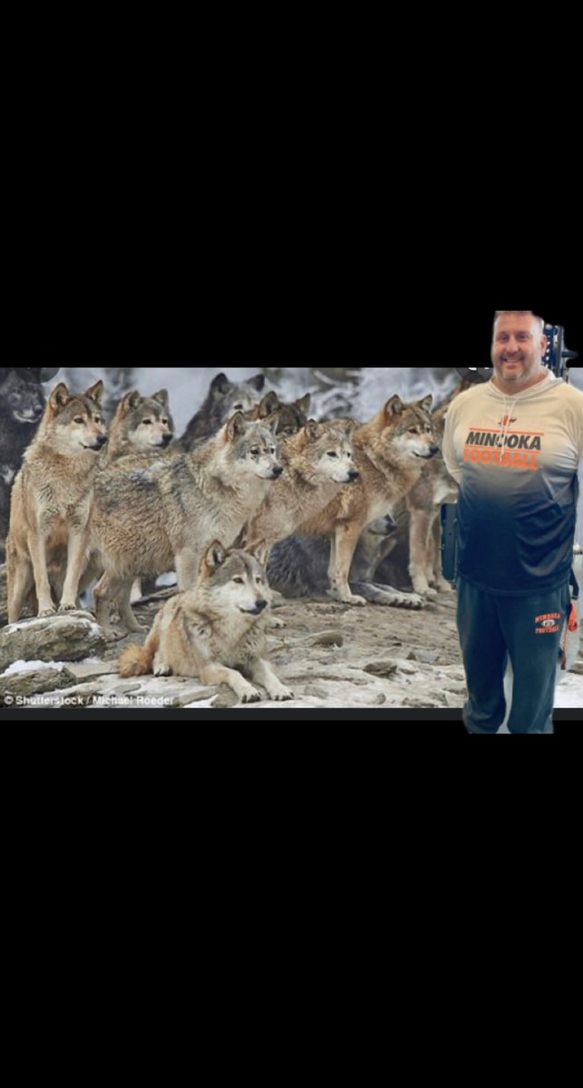 Barstool Minooka (@minookab) on Twitter photo Game day at the nook
7:00
Coach Harding is taking his puppies for a walk tonight.🦮🦮
Bow down to your pack leader
THEME: ORANGE OUT☢️☣️
<a href="/OEbarstool/">OEbarstool</a> Game day at the nook
7:00
Coach Harding is taking his puppies for a walk tonight.🦮🦮
Bow down to your pack leader
THEME: ORANGE OUT☢️☣️
<a href="/OEbarstool/">OEbarstool</a>
