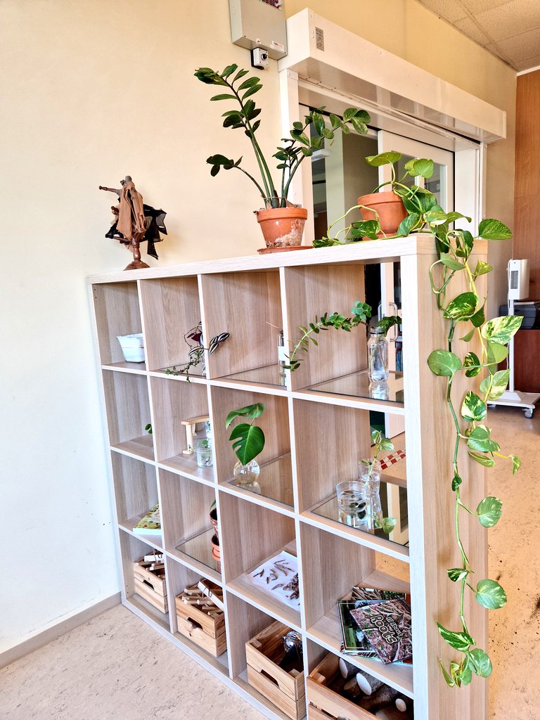 Akshaya Krishnamoorthy tweet media