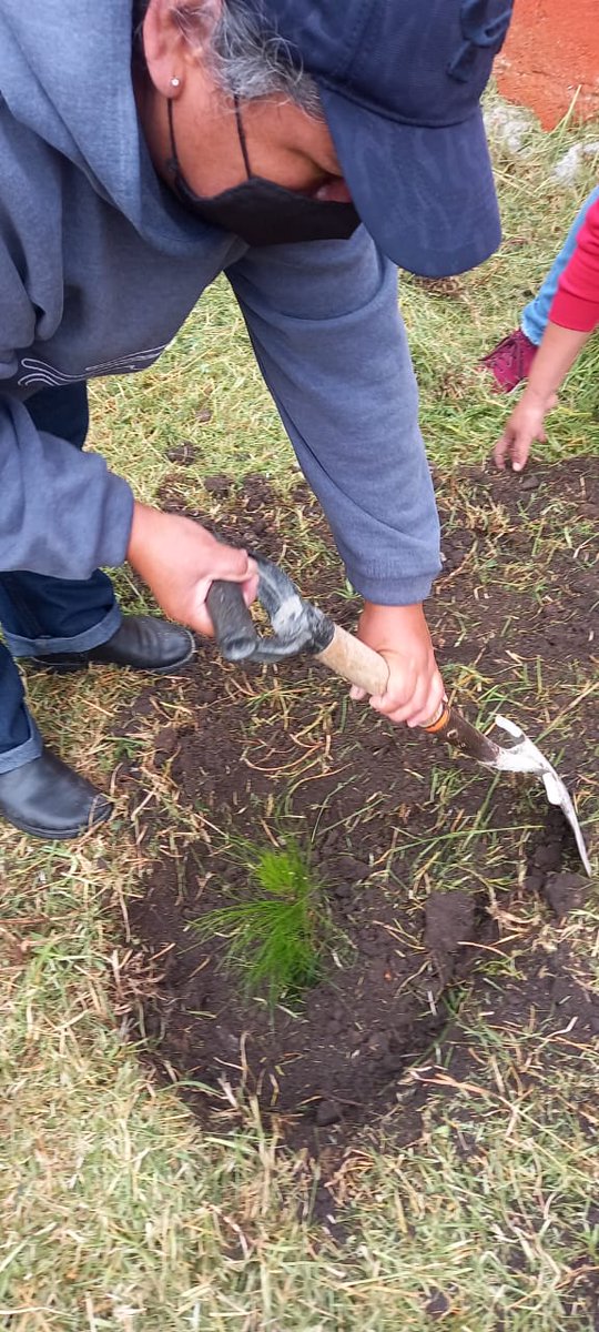 cocosgomez's tweet photo. Campaña de Reforestacón "UN ÁRBOL, ALUMNO, UN FUTURO" CAM No. 72, Otzolotepec #UnArbolUnAlumnoUnFuturo @TinocoGRogelio @SEB_Edomex @CampoEdomex @Probosque_ @RebecaSaldaa13 @lucero082 https://t.co/FKvl7H7Sjx