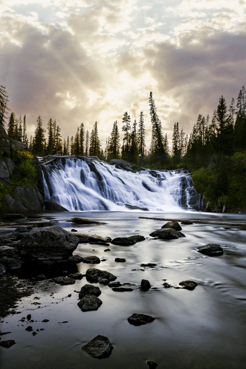 kolebasilio's tweet photo. Growing up, I never really got to explore the beautiful National Parks of the U.S. By journeying up to Yellowstone, I was gifted with this moment and also learning how beautiful and strong nature truly is. I learned to live. It may seem broad, but living is what it’s all about. https://t.co/g4XeqDH0DD