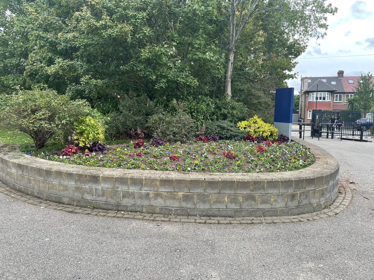The Pro Landscape team done a fantastic job today planting up a raised bed using seasonal plants to add a pop of colour &amp; installing wire trellis to support some lovely Jasmin to cover an old bare wall #Planting #Viola #Jasmin #Landscaping