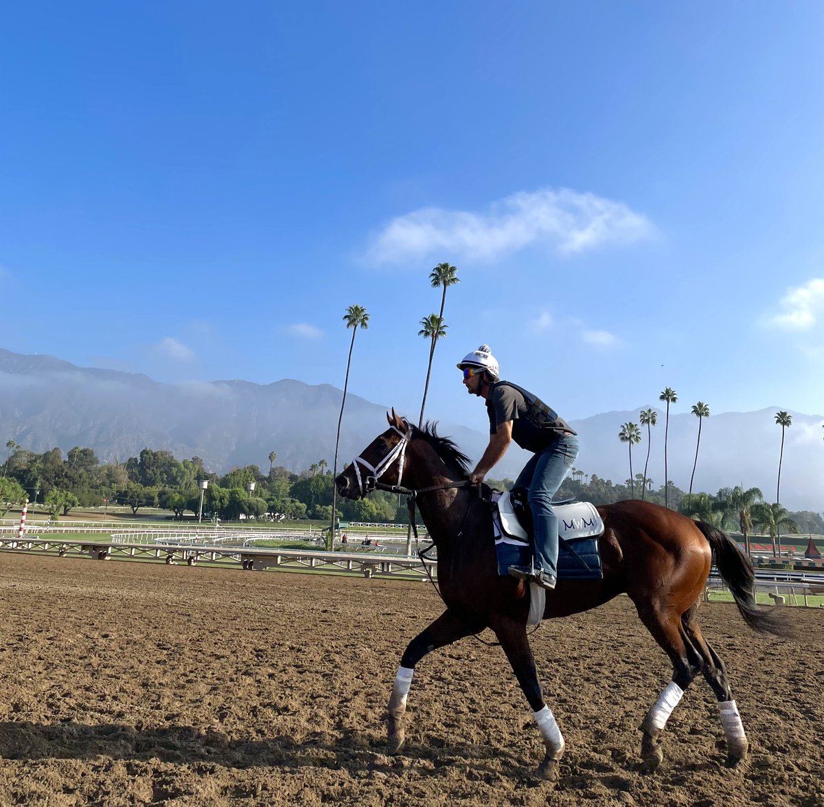 Breeders' Cup tweet media