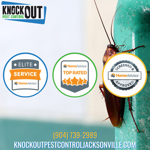 knockoutpest1's tweet photo. We are proud to continuously be Top Rated on HomeAdvisor, and we genuinely appreciate our customers taking the time to share their experience partnering with Knockout Pest Control!

Read Customer Reviews: https://t.co/I1e7bQsjM9  

#Knockout #KnockoutPestControl #pests https://t.co/RWfsaA5Bgd