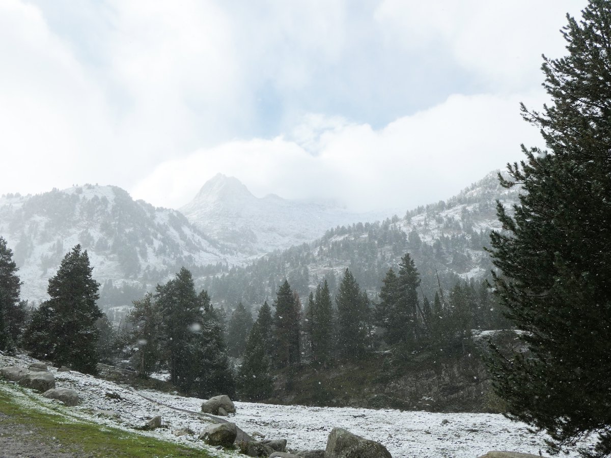 Buscapaligru's tweet photo. Despedimos septiembre nevando. https://t.co/LIDvGNK92A vía @buscapaligru #valledebenasque #ganasdenieve #pirineos #nieve #septiembre https://t.co/eDfHwSohiA