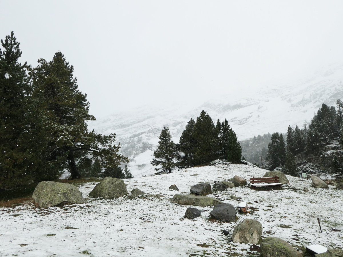 Buscapaligru's tweet photo. Despedimos septiembre nevando. https://t.co/LIDvGNK92A vía @buscapaligru #valledebenasque #ganasdenieve #pirineos #nieve #septiembre https://t.co/eDfHwSohiA