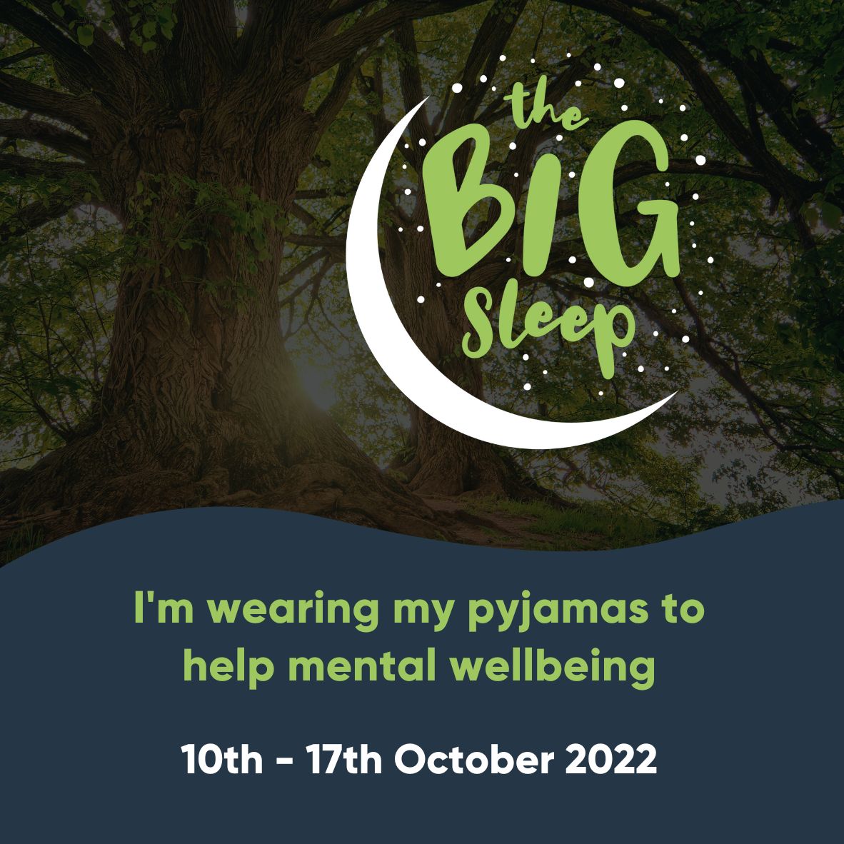 Have fun, raise money, get people talking about mental health! Join the Big Sleep campaign from 10th- 7th of Oct and go to work/school for a day that week in your dressing gown, pj's or slippers! Find out more thecartshed.co.uk/the-big-sleep <a href="/hereford/">T.W.Khan</a>