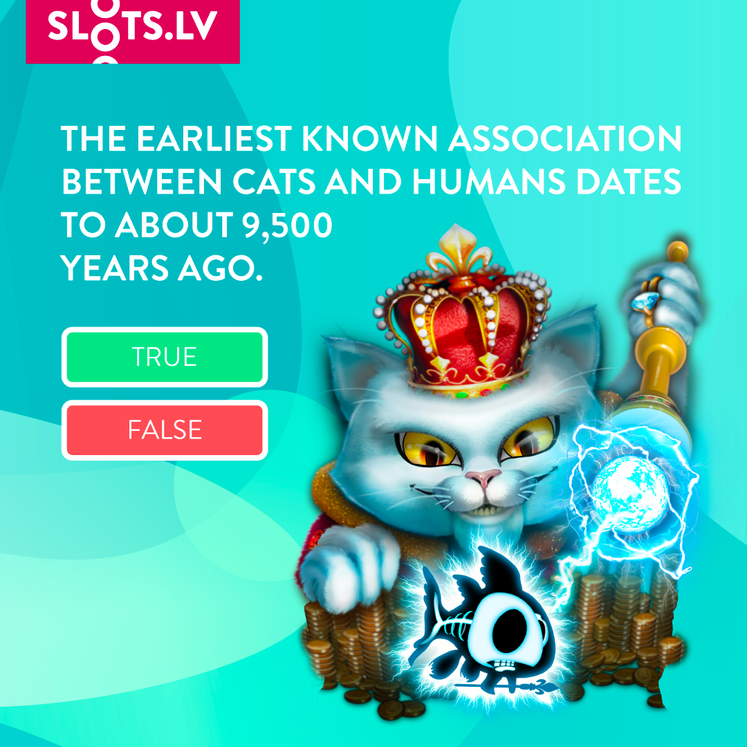 Slots LV on Twitter "Guess correctly for your chance to win 20! True