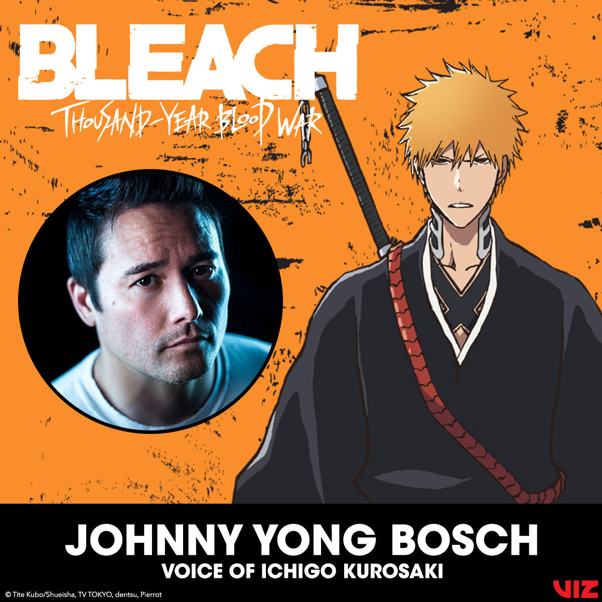 VIZ Announces BLEACH: Thousand-Year Blood War Streaming Platform