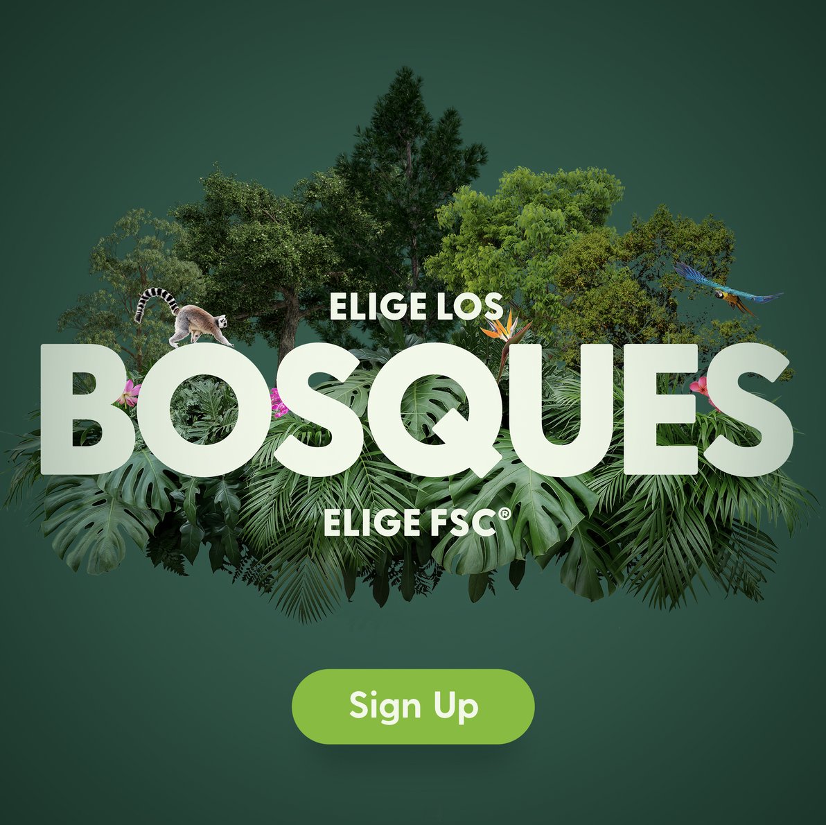 ReforestamosMx's tweet photo. Suscríbete al boletín informativo y mantente actualizado con las acciones para apoyar a los bosques. 🌳 ¡Apoya la Semana del Bosque FSC® 2022 y toma acción!
✅ Registro 👉 https://t.co/9ToY7L9dCe
#FSCForestWeek #SemanaDelBosqueFSC #EligeLosBosques #EligeFSC https://t.co/CL5lwiC3j5