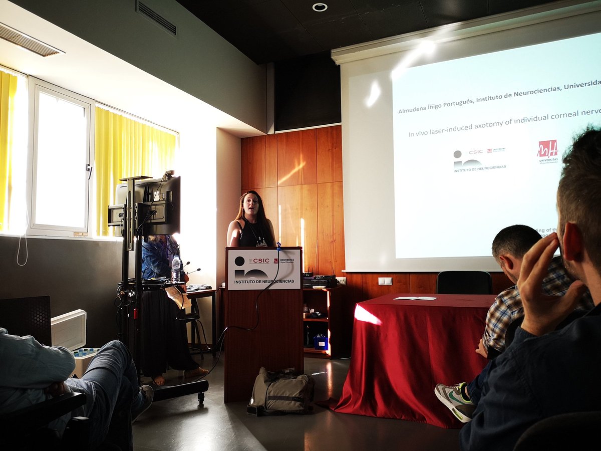 NeuroAlc's tweet photo. ... Fernando Alexandre, Almudena Iñigo @_aLmU_, David Ares, Albert Mesa Lombardo,... https://t.co/03rpZ1cGZ2