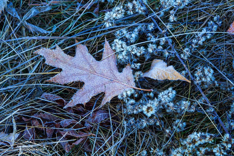 ComfortInnStJay's tweet photo. Frost on the windshield this morning.  Fall foliage colors should start popping soon.  Should be an amazing season.
#NewEngland #Foliage #leafpeepers #family #fun🍁 🍂 https://t.co/JxRmsbkECV